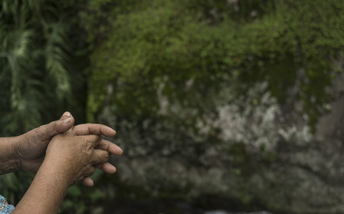 Herminia – aurelia – misantla