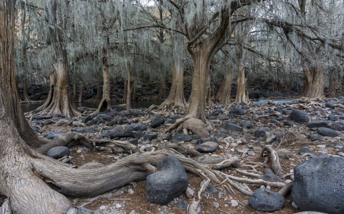 Doña nena – nombre de dios